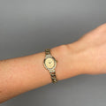 Case Gold Plated Stainless Steel Dial Champagne Dial Dial Round Bracelet