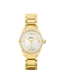 Case Gold Plated Stainless Steel Dial Mother of Pearl Dial Champagne Arabic Band Bracelet